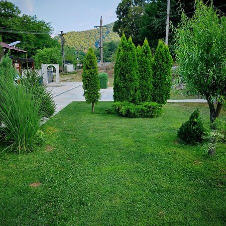 Taverna Gradetului Schitu Topolnitei Экстерьер фото